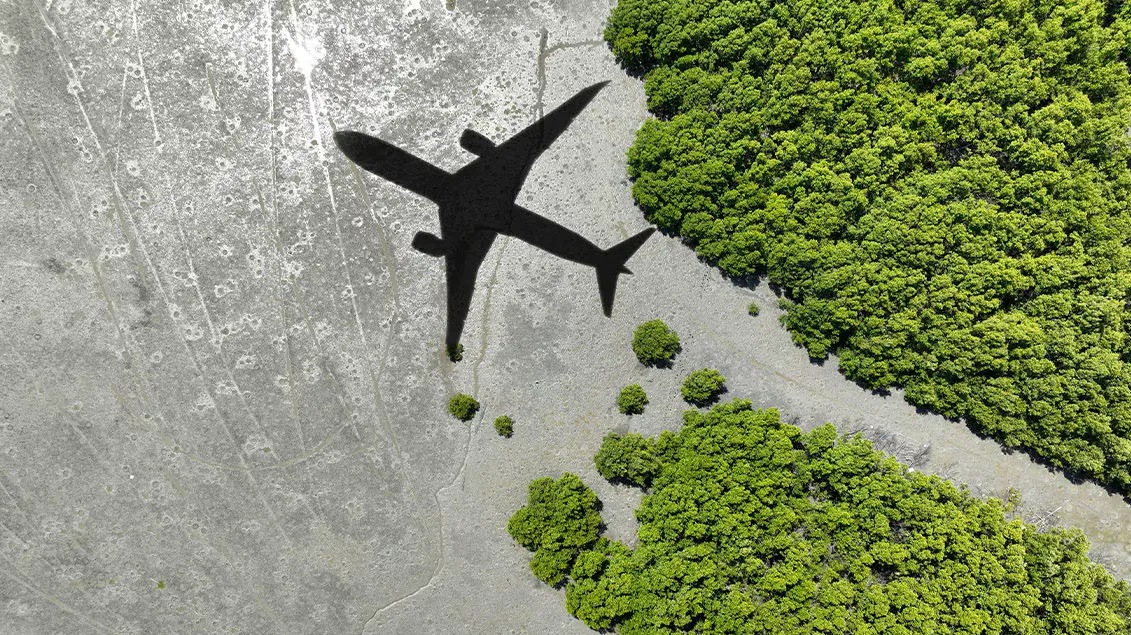 petróleo y energía