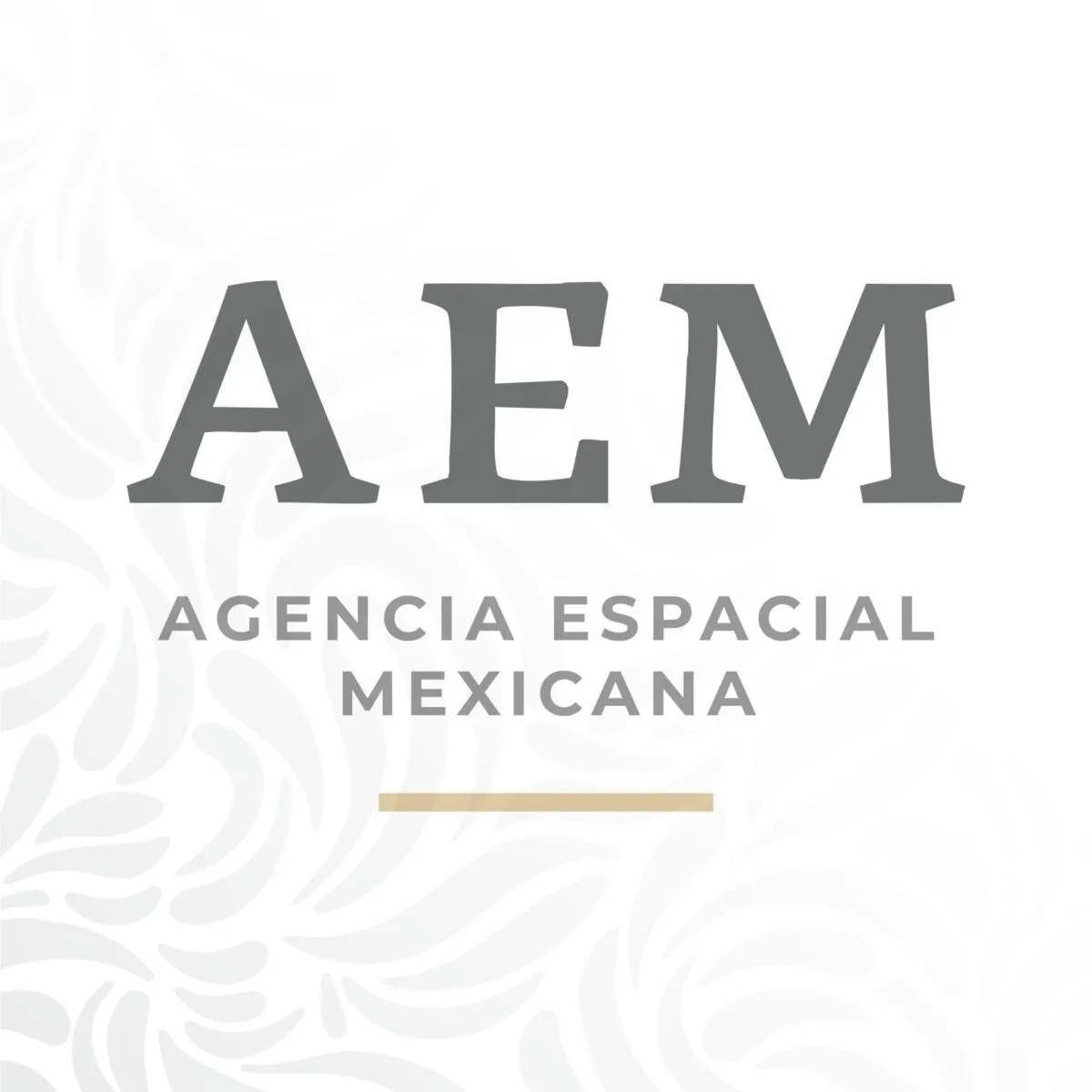 Agencia Especial Mexicana