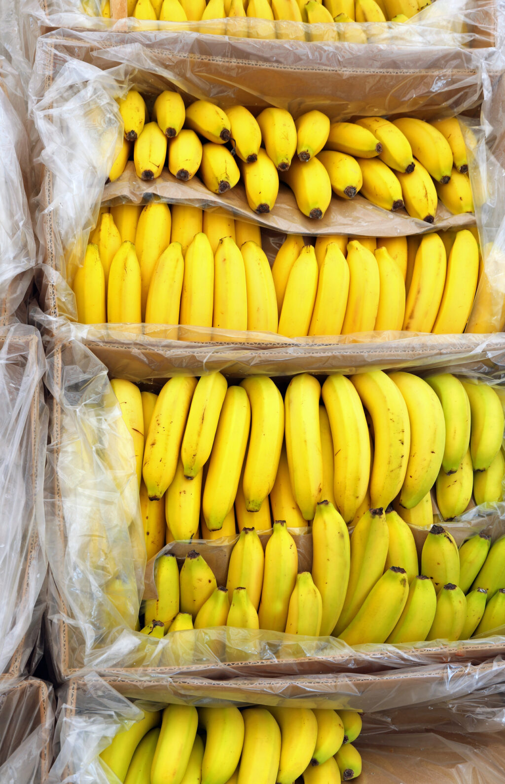Many full boxes with ripe bananas, Depositphoto - Petróleo y Energía Many full boxes with ripe bananas, Depositphotos