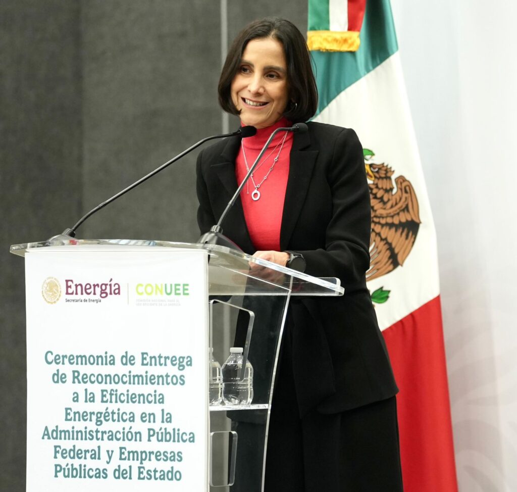 Luz Elena González Foto: gobierno - Petróleo y Energía