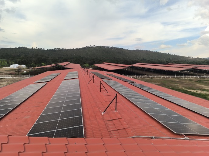 AE_0801_2 - Petróleo y Energía