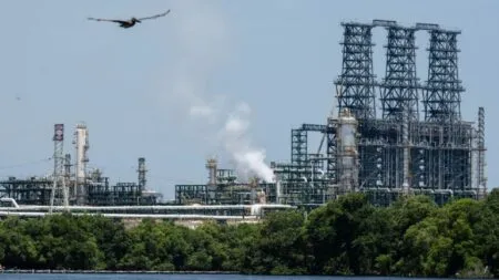 Industrial oil refinery with complex piping and tall structures along the water, with a bird flying overhead and trees in the foreground